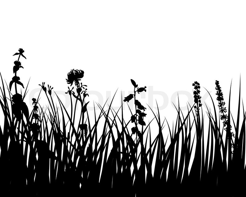 800x640 Vector Grass Silhouettes Background For Design Use Stock Vector