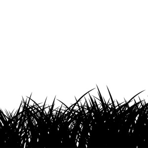 Tall Grass Vector at GetDrawings | Free download