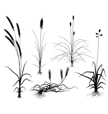 380x400 Tall Grass Silhouette Vector