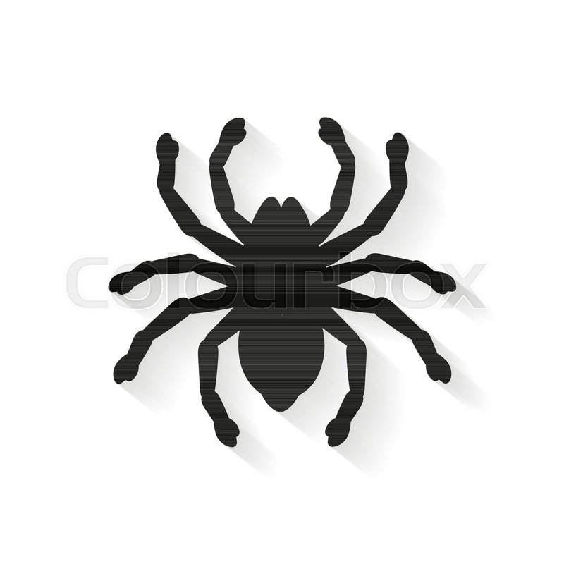800x800 Spider Tarantula Vector Color Drawing Vector Illustration Stock