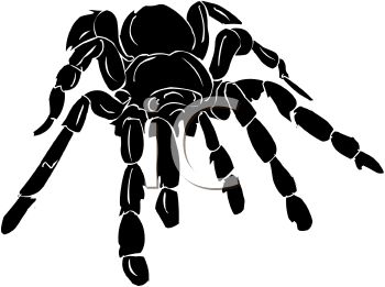 350x261 Tarantula Clipart Spider Free Collection Download And Share
