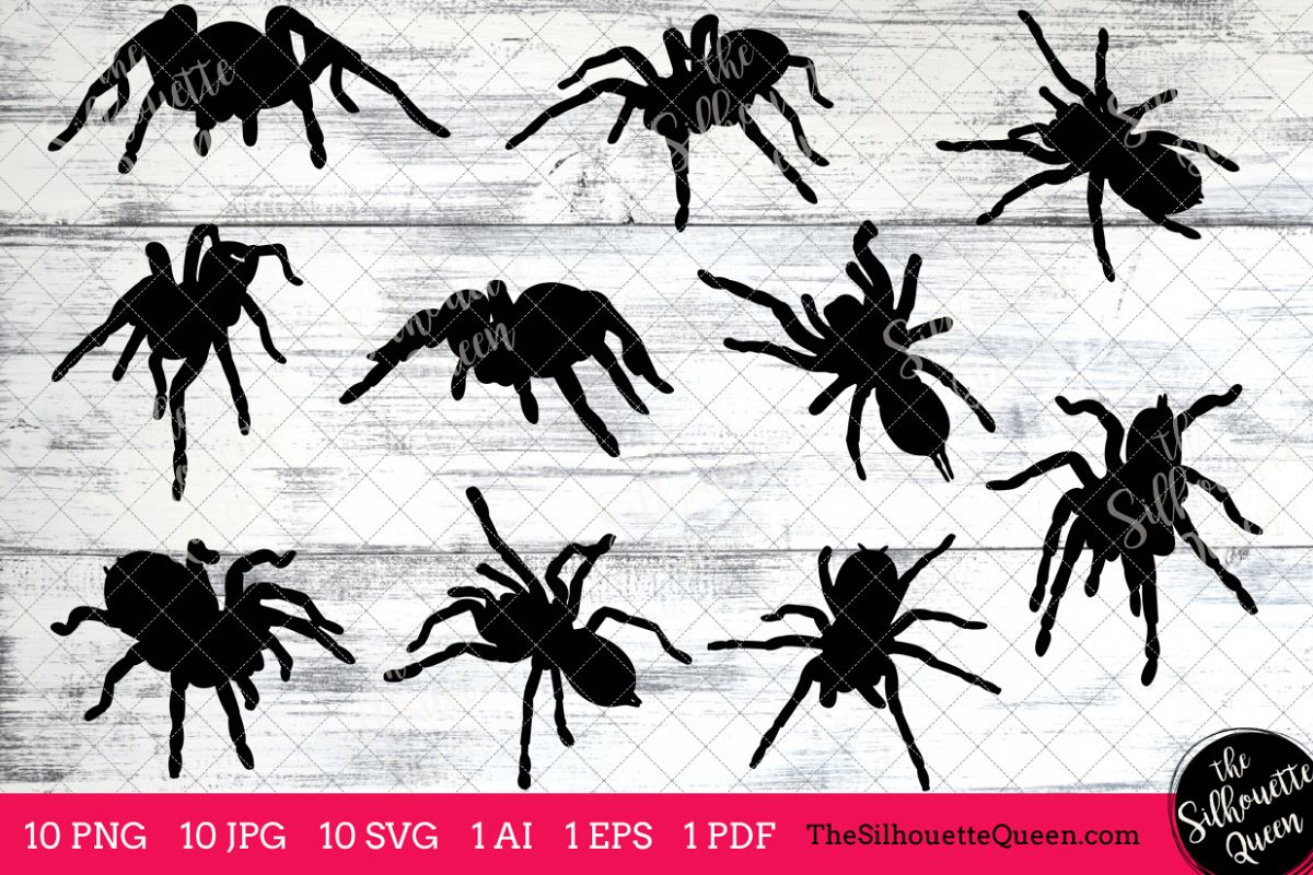 1200x800 Tarantula Silhouette Clipart Clip Art ( Design Bundles