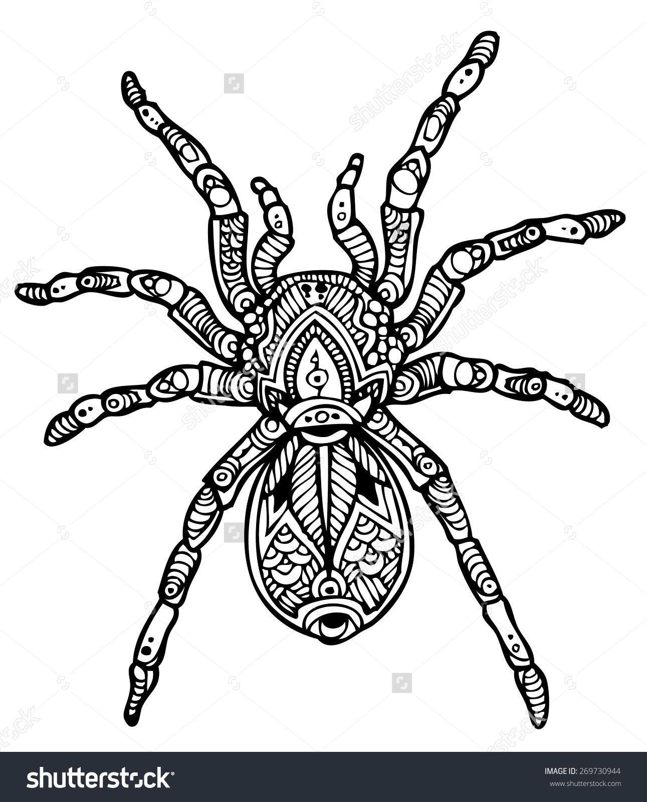 1291x1600 Tarantula Stock Vectors Amp Vector Clip Art Shutterstock Awesome