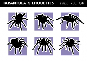 285x200 Tarantula Silhouettes Free Vector Graphic Art Free Download (Found