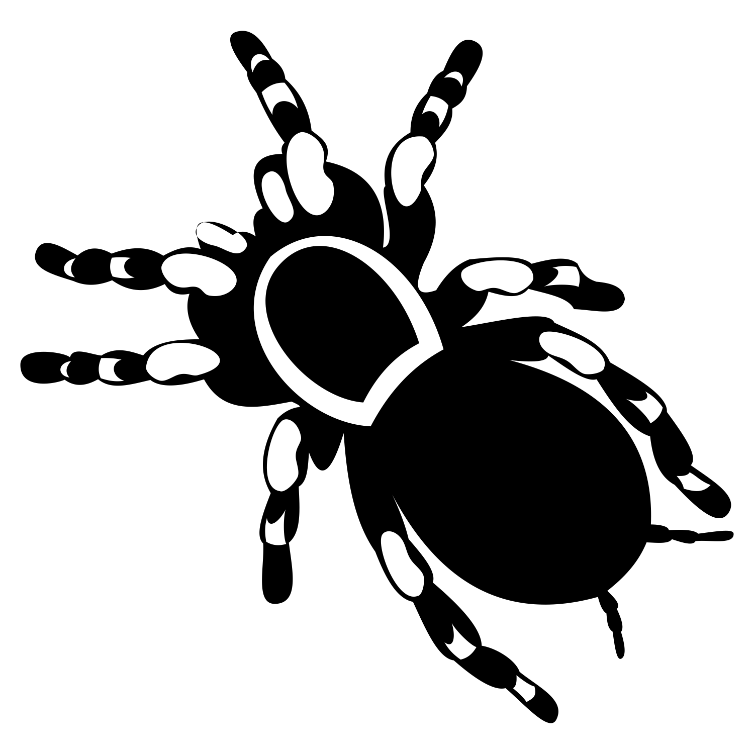 1500x1500 Vector For Free Use Tarantula Tattoo Vector