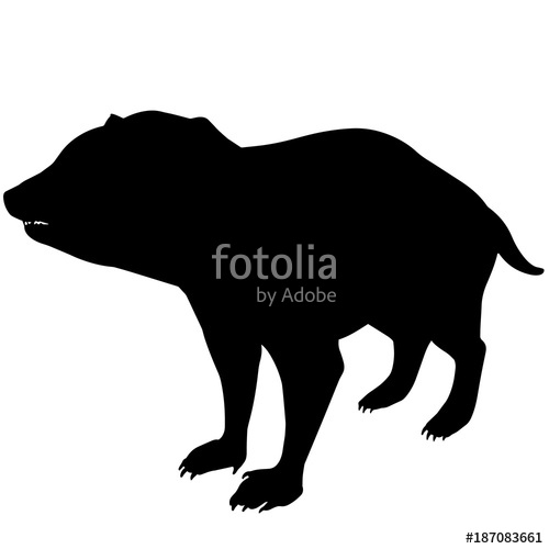 Tasmanian Devil Vector at GetDrawings | Free download