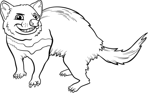 625x392 Tasmanian Devil Cartoon Coloring