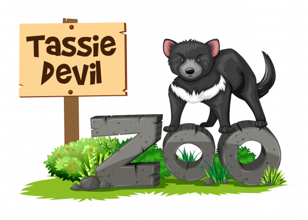 626x448 Tasmanian Devil In The Zoo Vector Free Download