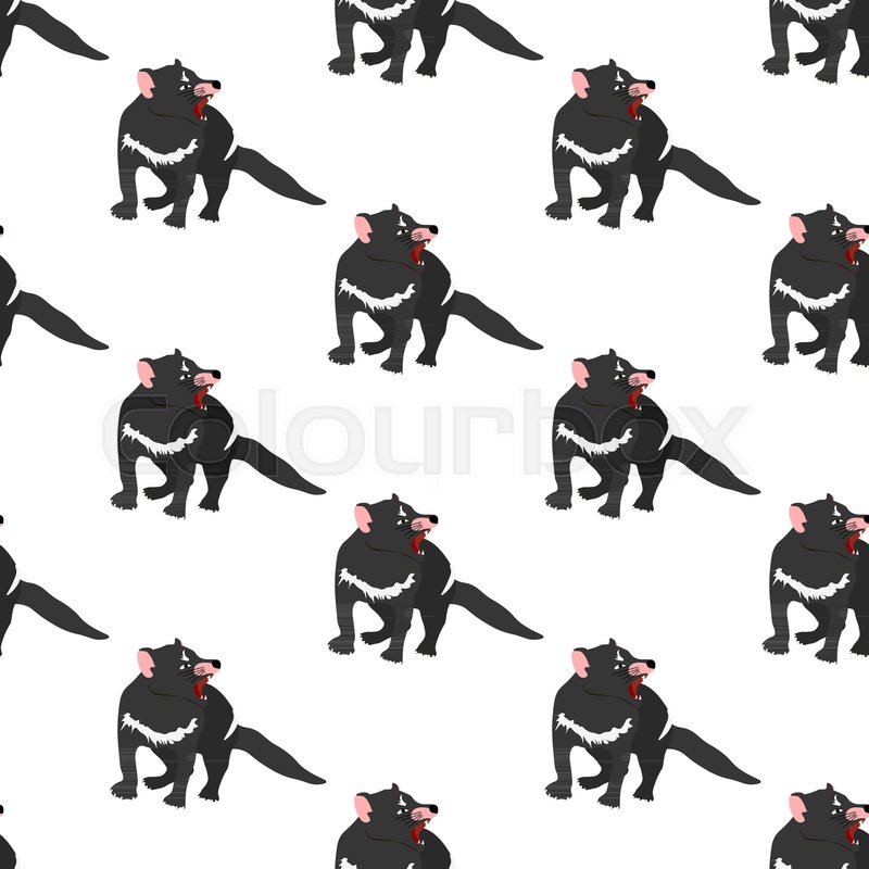 800x800 Tasmanian Devil Seamless Pattern On The White Background, Vector