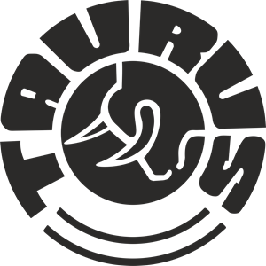 300x300 Taurus Logo Vector (.cdr) Free Download