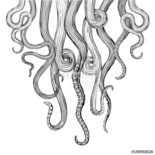 500x500 Tentacle Illustration Stock Image And Royalty Free Vector Files