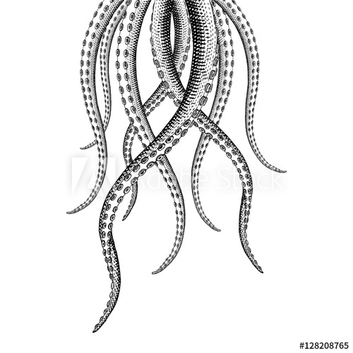 Tentacle Vector at GetDrawings | Free download