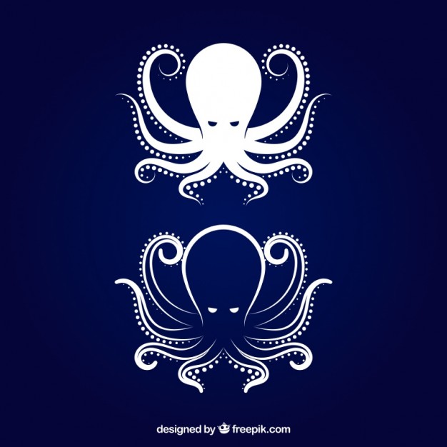 626x626 Tentacle Vectors, Photos And Psd Files Free Download