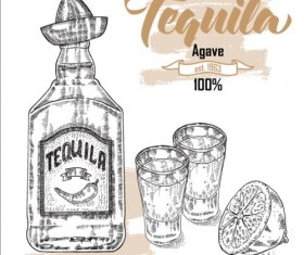 280x235 Tequila Vector