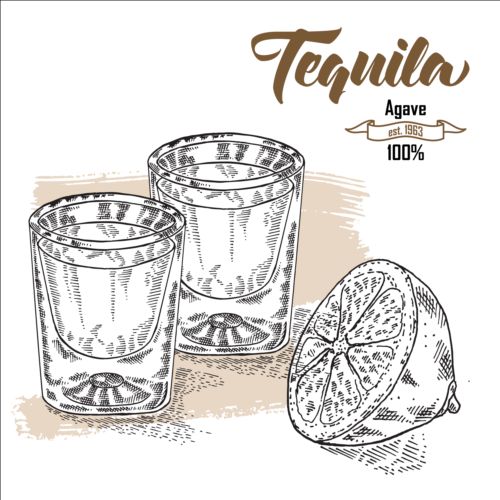500x500 Tequila With Lemon Hand Drawn Vector 02 Free Download