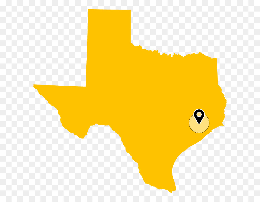 900x700 Texas Vector Map