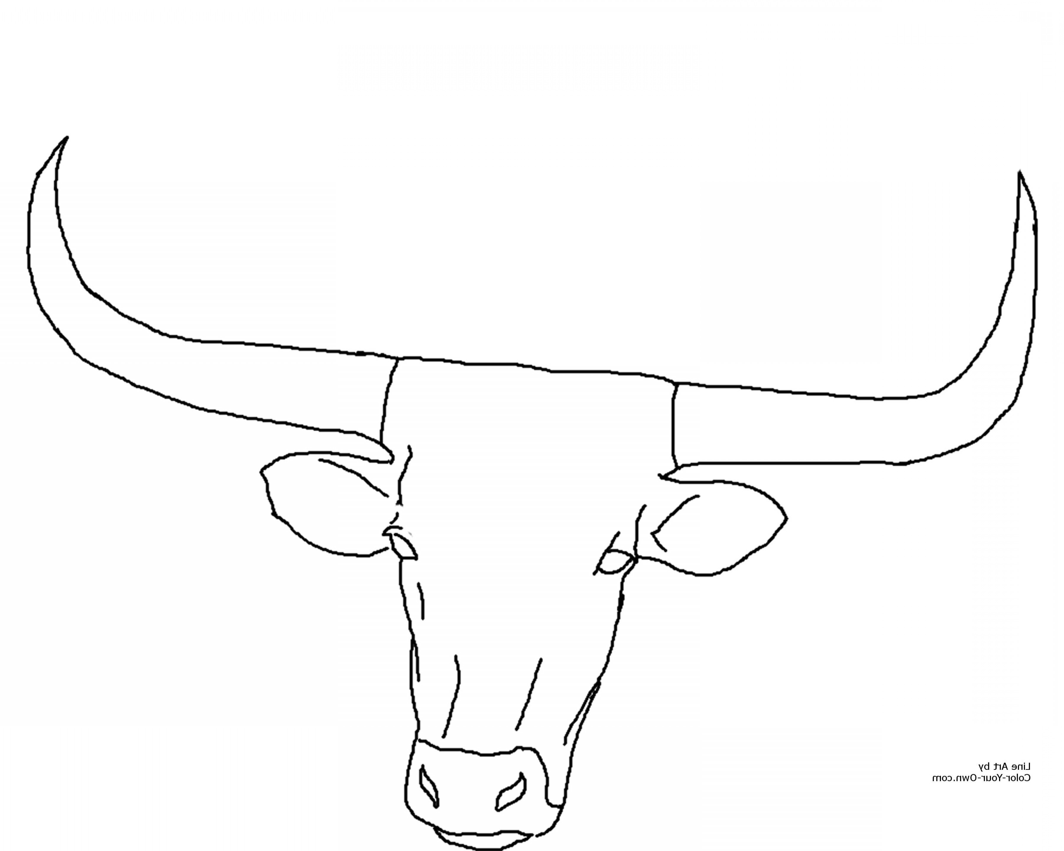 3600x2880 Mainstream Texas Tech Coloring Pages Vector Art Sohadacouri