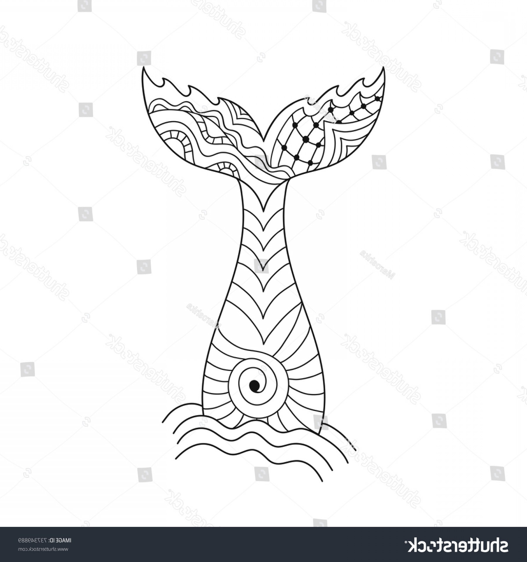 1800x1920 Hand Drawn Ornamental Mermaids Tail Vector Sohadacouri