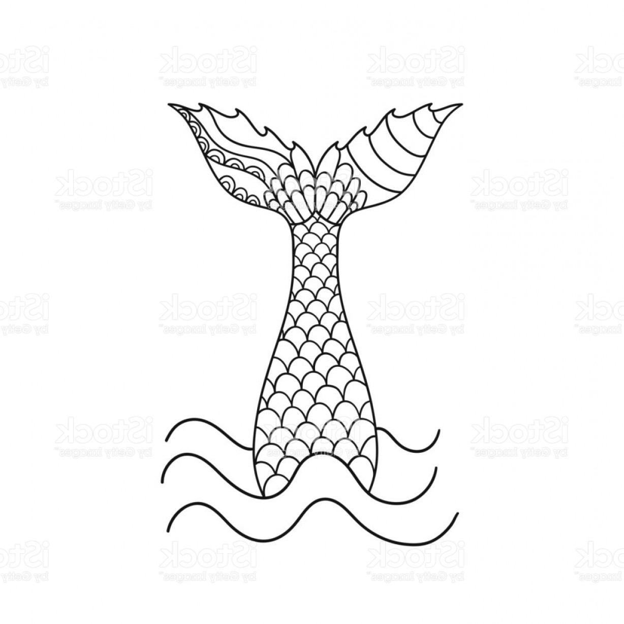 1228x1228 Hand Drawn Ornamental Mermaids Tail Vector Illustration Isolated