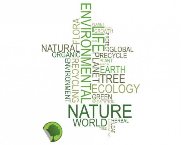 626x500 Word Text Vector