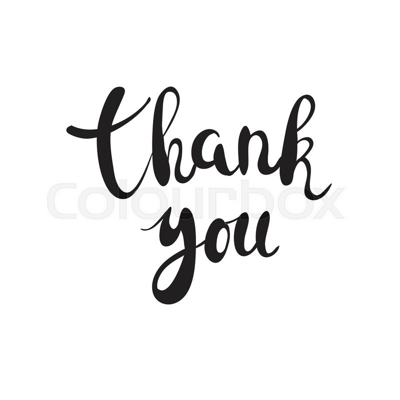 800x800 Thank You Handwritten Calligraphy Vector Illustration, Black
