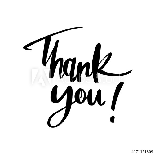 500x500 Thank You Lettering Calligraphy, Vector Illustration Brush Painted