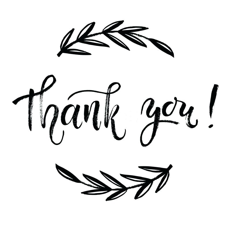 800x800 Download Thank You Card Vector Template Hand Lettering Brush Pen