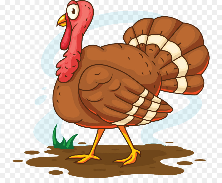 900x740 Turkey Meat Cartoon Illustration