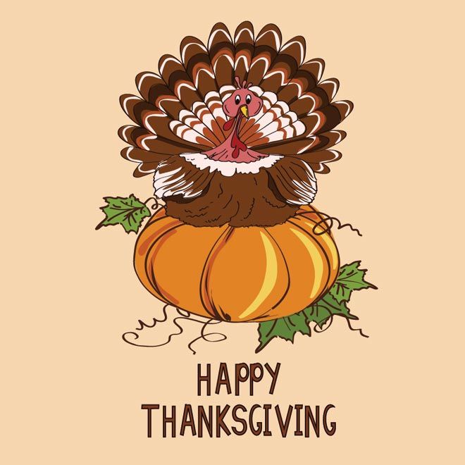 660x660 Free Vector Illustration Of Turkey Bird Sitting On Pumpkin Clip