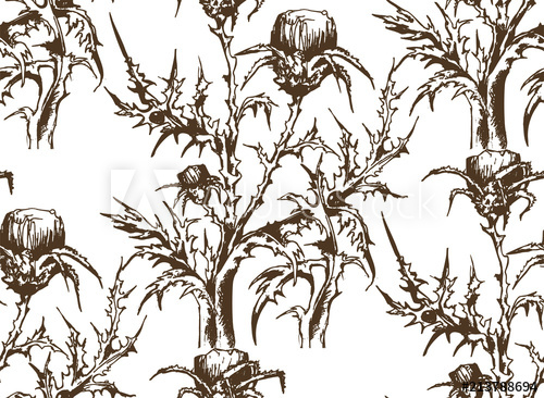 500x366 Pattern Of Thistle. Vector Illustration