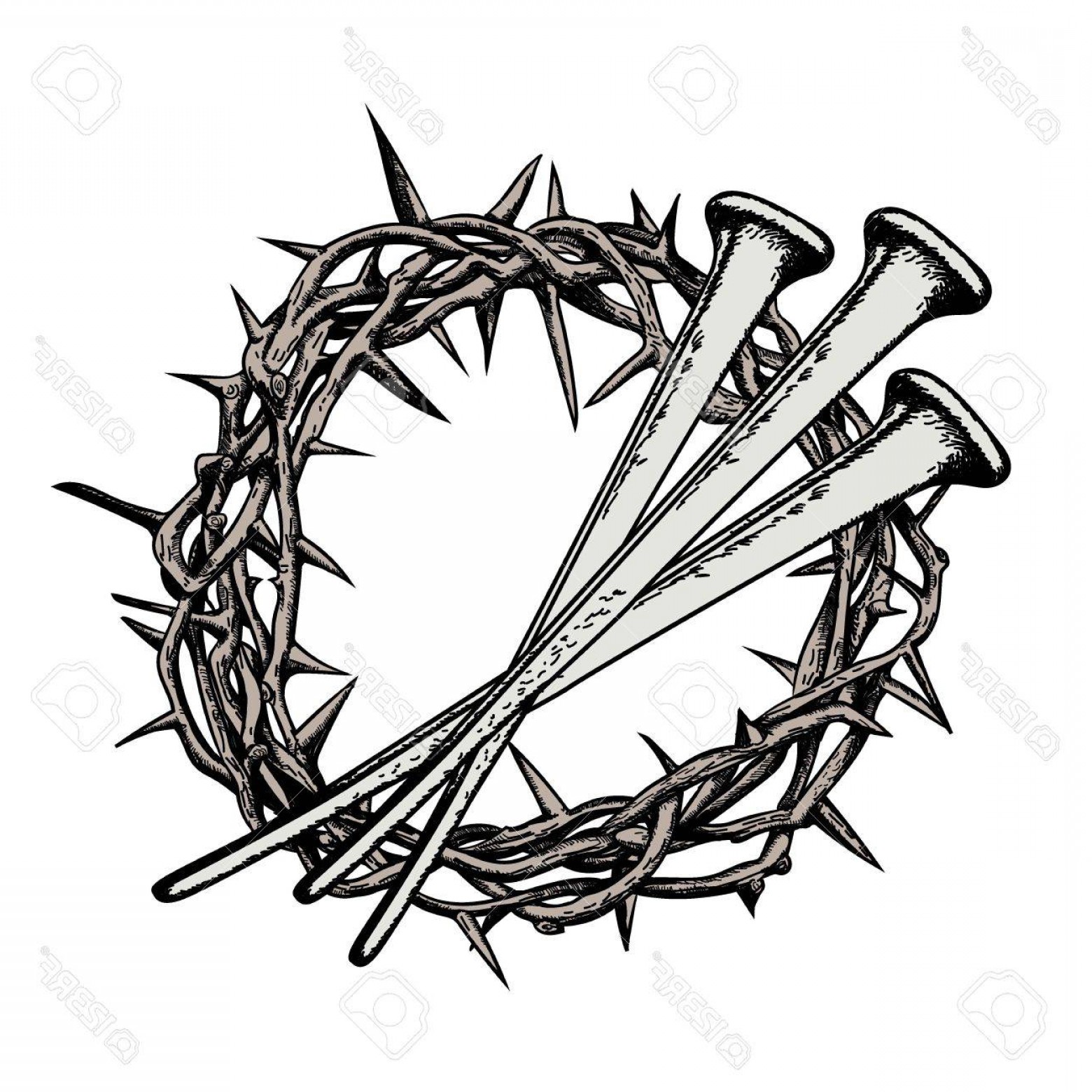 1560x1560 Photostock Vector The Crown Of Thorns With The Nails Of Jesus
