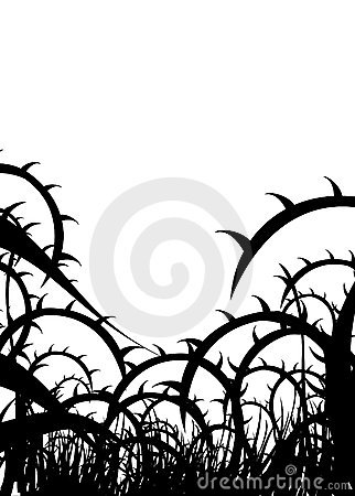 322x450 Thorns Clipart Vine