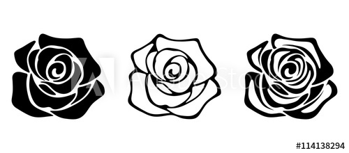 500x220 Set Of Three Vector Black Silhouettes Of Rose Flowers Isolated On