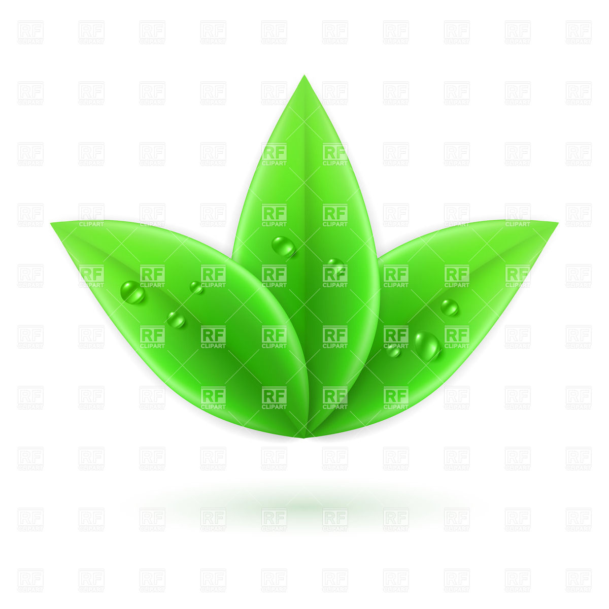 1200x1200 Three Green Leaves With Water Drops Vector Image Vector Artwork