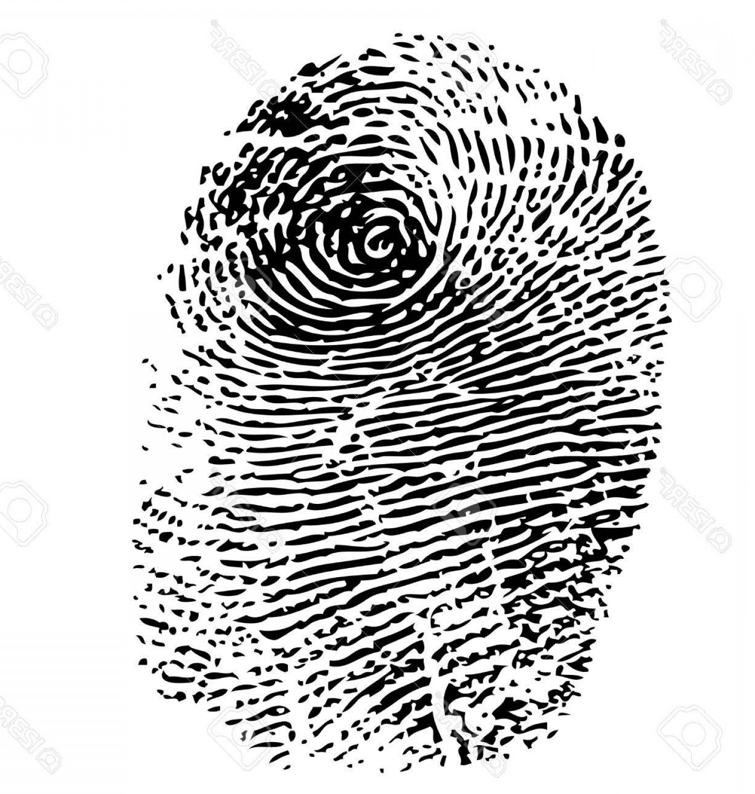 1482x1560 Photostock Vector Fingerprint Vector Isolated On White Createmepink