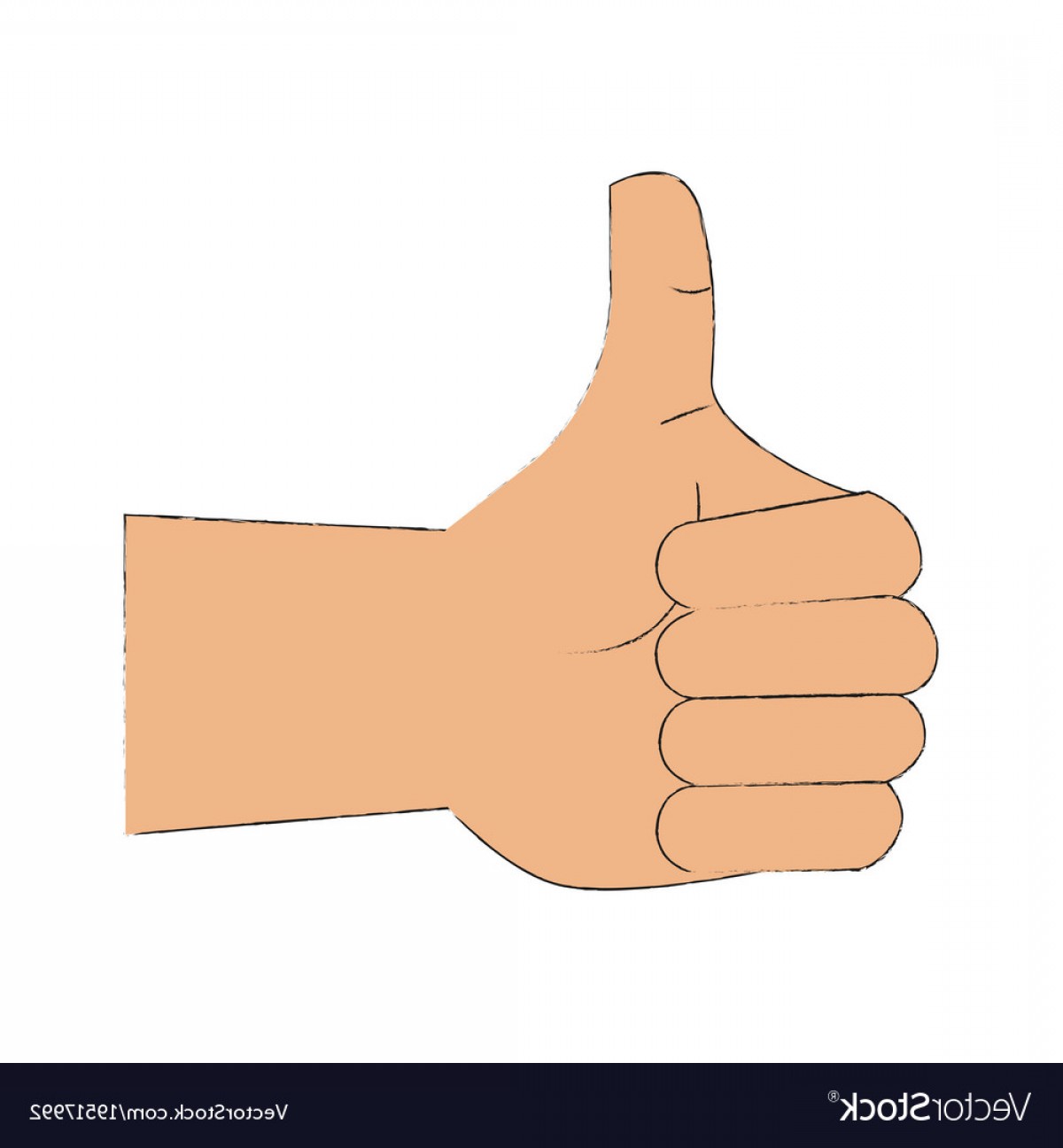 1200x1296 Thumb Vector Shopatcloth