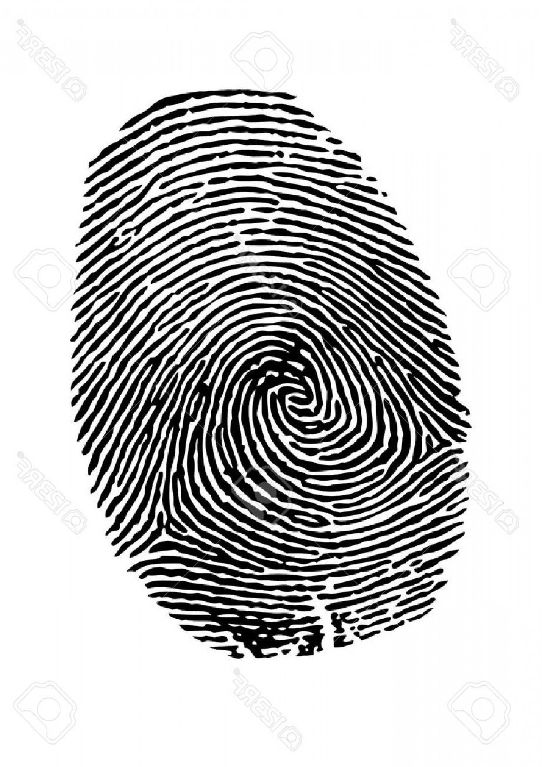 1102x1560 Photostock Vector Vector Fingerprint On White Background