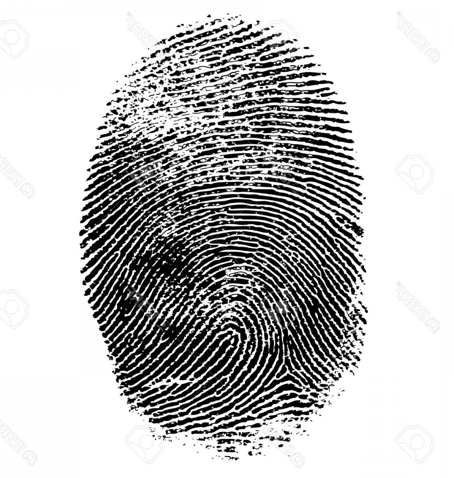 1482x1560 Photostock Vector Vector Illustration Of Fingerprint Isolated On