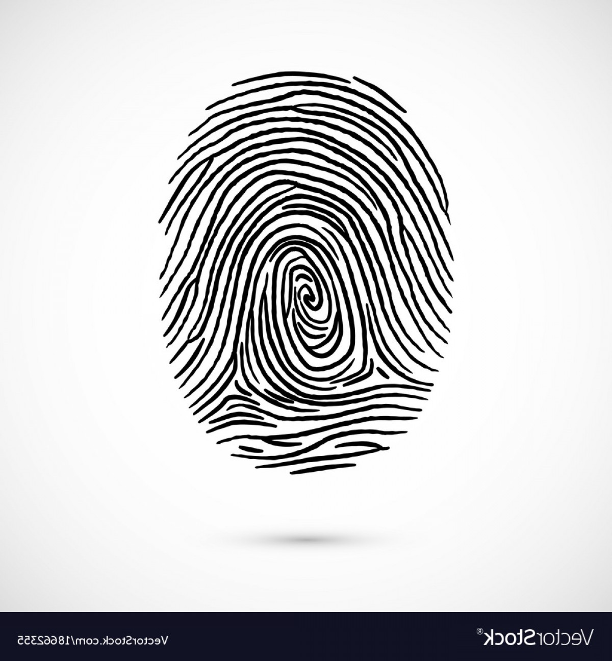 1200x1296 Fingerprint Icon Identification Isolated On White Vector