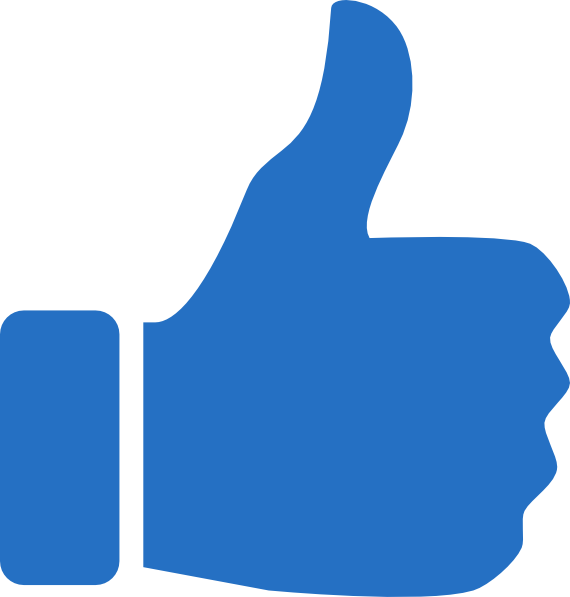 570x597 Thumbs Up .ico