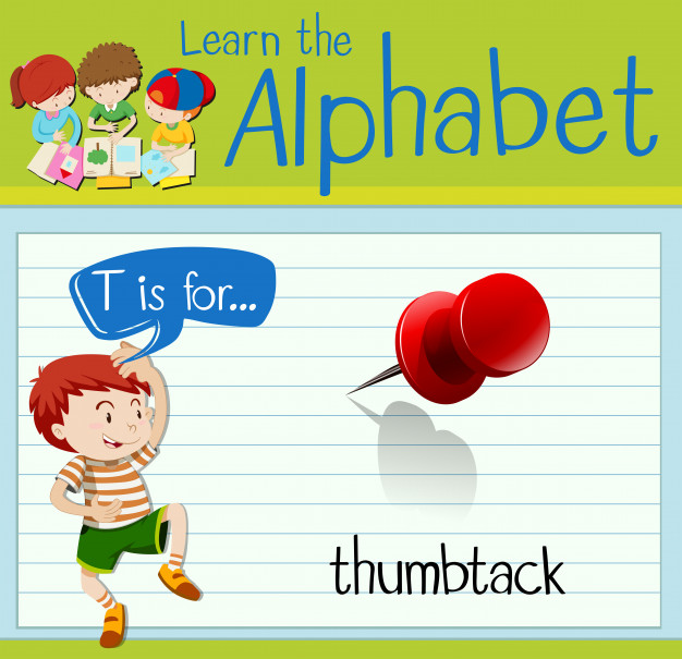 626x605 Flashcard Letter T Is For Thumbtack Vector Premium Download