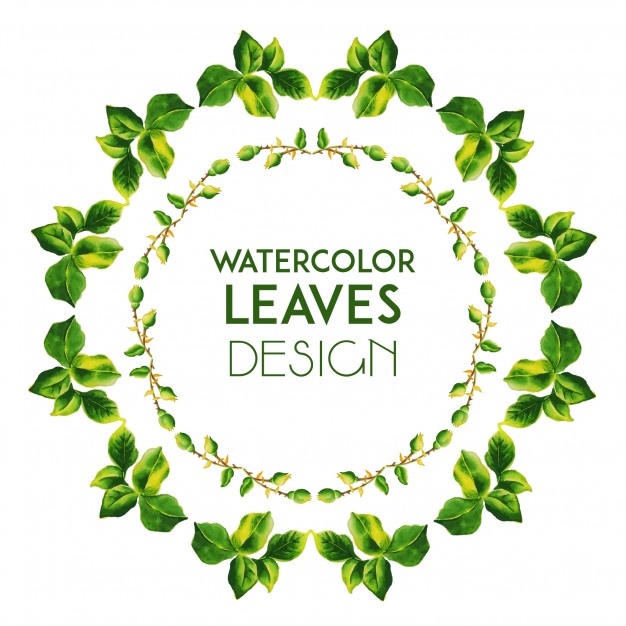 626x626 Tiara Vectors, Photos And Psd Files Free Download