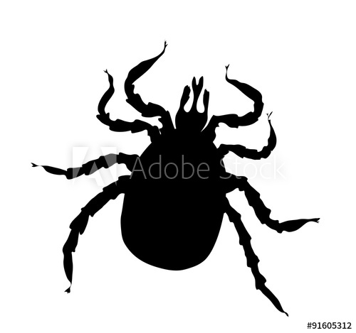 500x469 Black Silhouette Of Tick Vector Illustration Isolated On White