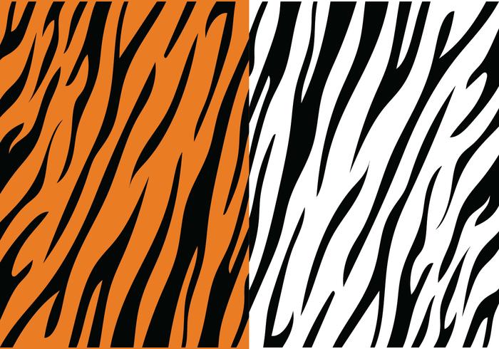 700x490 Tiger Free Vector Art