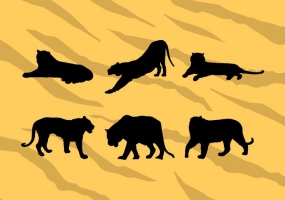 285x200 Tiger Stripe Camo Free Vector Graphic Art Free Download (Found