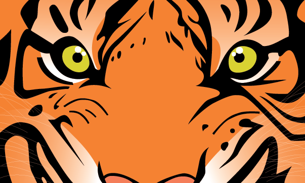 Tiger Eyes Vector at GetDrawings | Free download