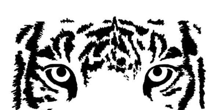720x360 Tiger Eyes Vector Clipart Panda