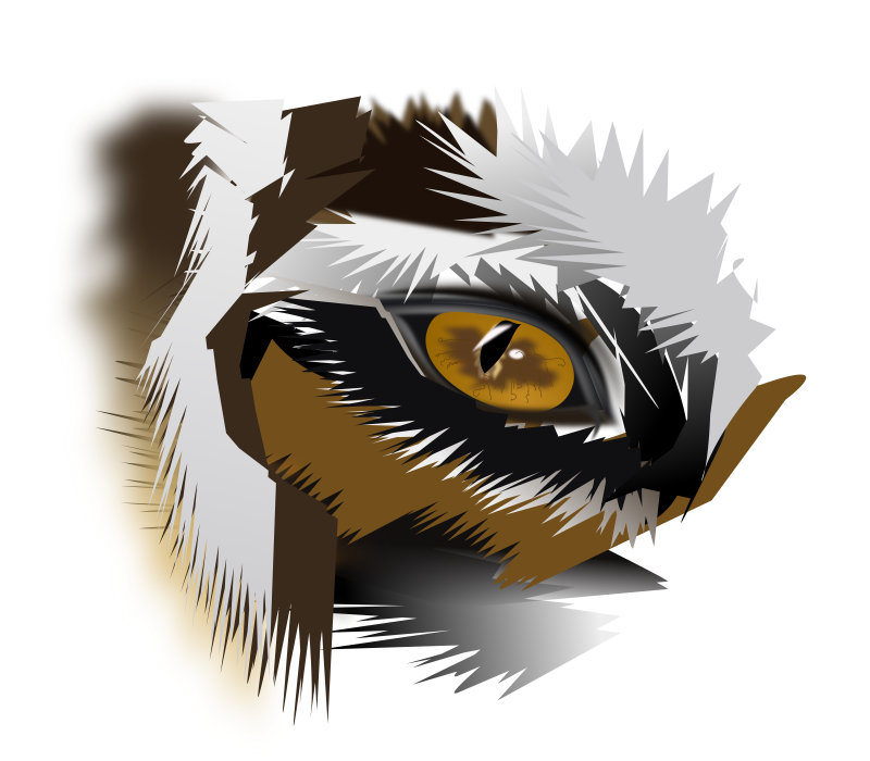 800x700 Tiger Clipart Tiger Eyes