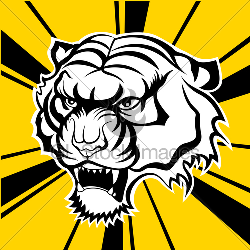500x500 Tiger Face Vector Silhouette Gl Stock Images