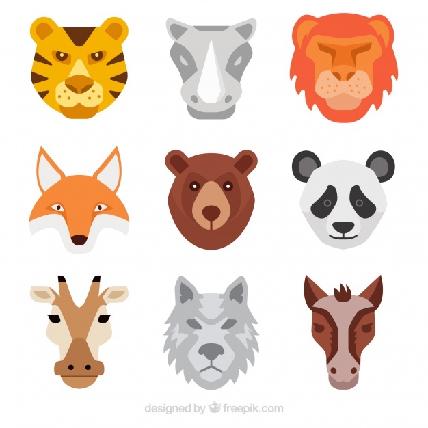 626x626 Tiger Face Vectors, Photos And Psd Files Free Download